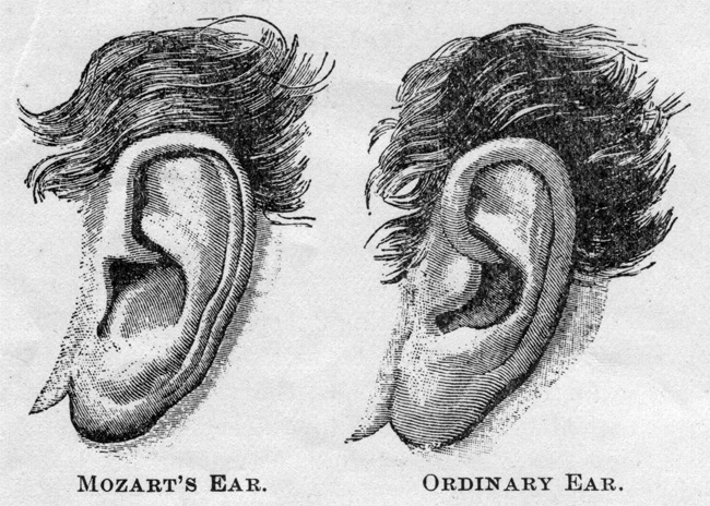 MOZARTS-EAR.jpg